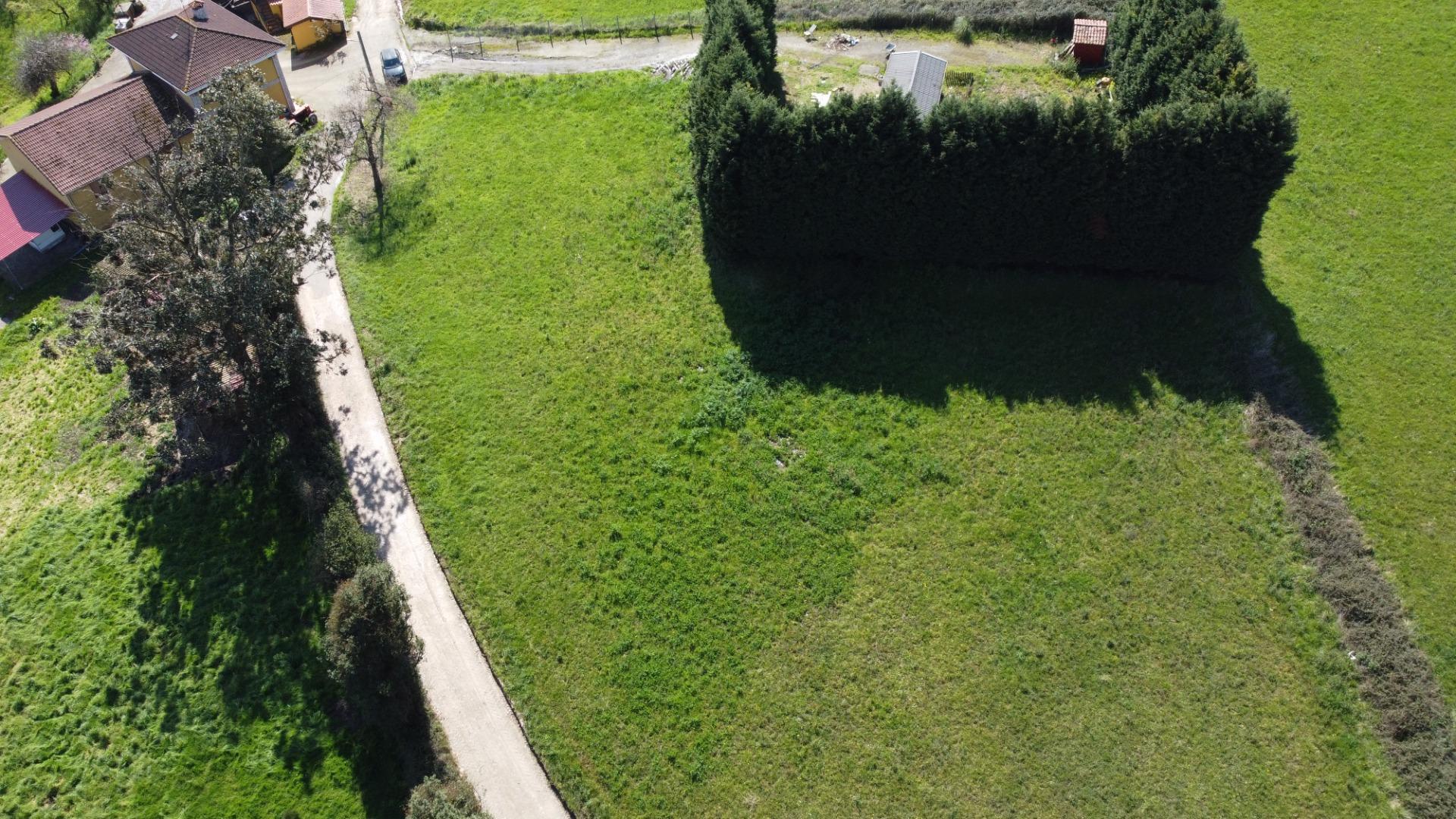 Fincas y solares-Venta-GijÃ³n-2207731-Foto-7