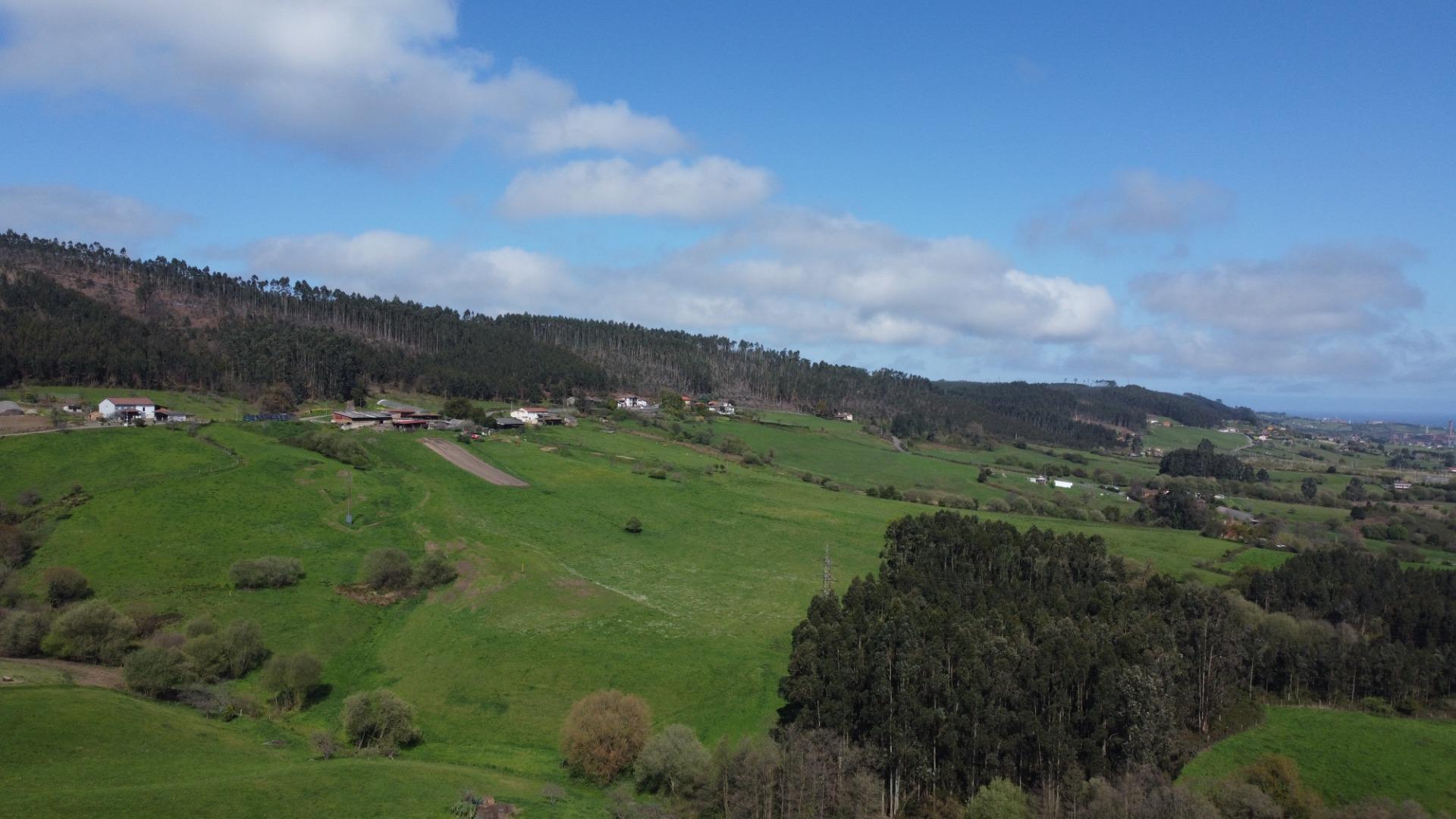 Fincas y solares-Venta-GijÃ³n-2207731-Foto-4
