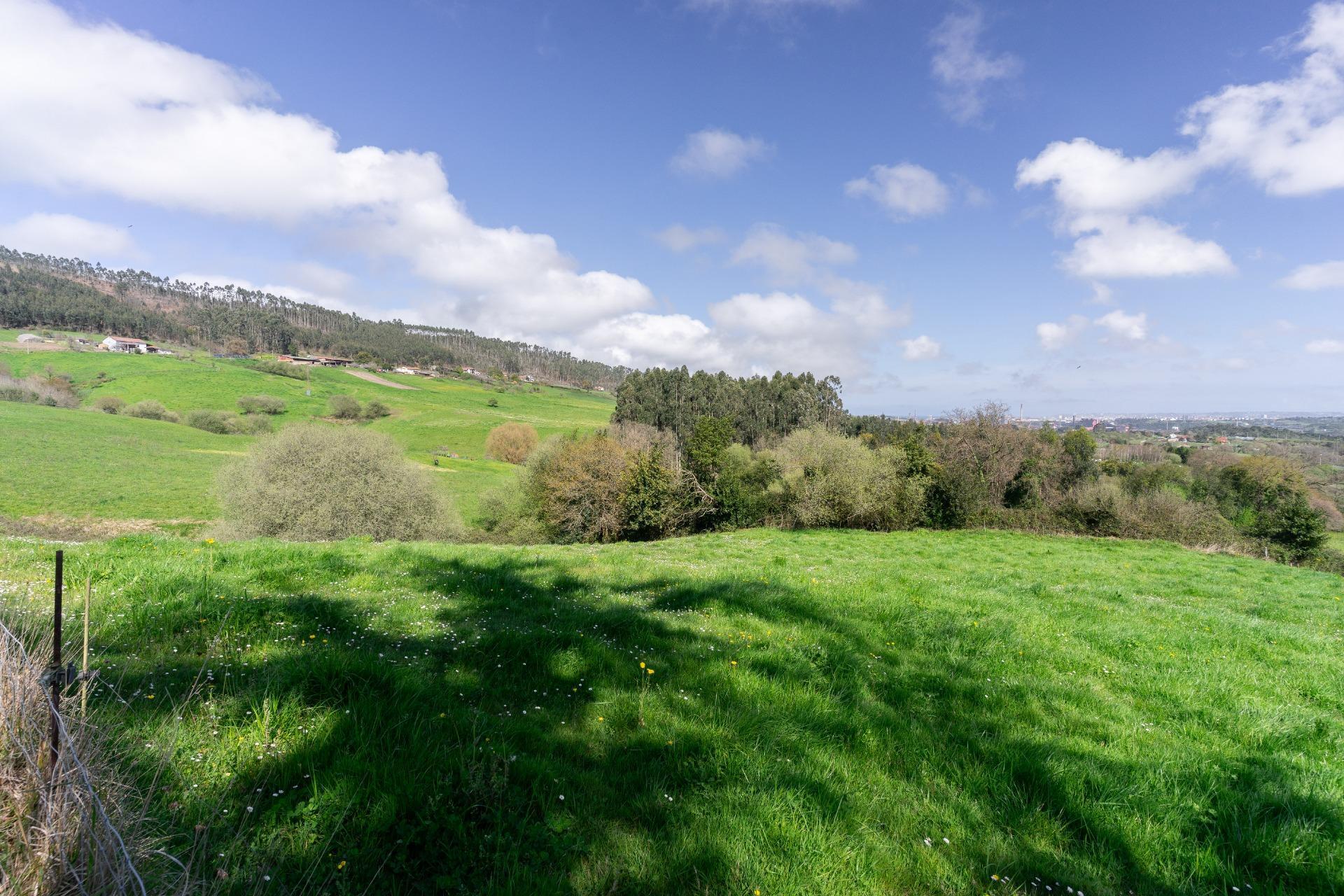 Fincas y solares-Venta-GijÃ³n-2207731-Foto-9