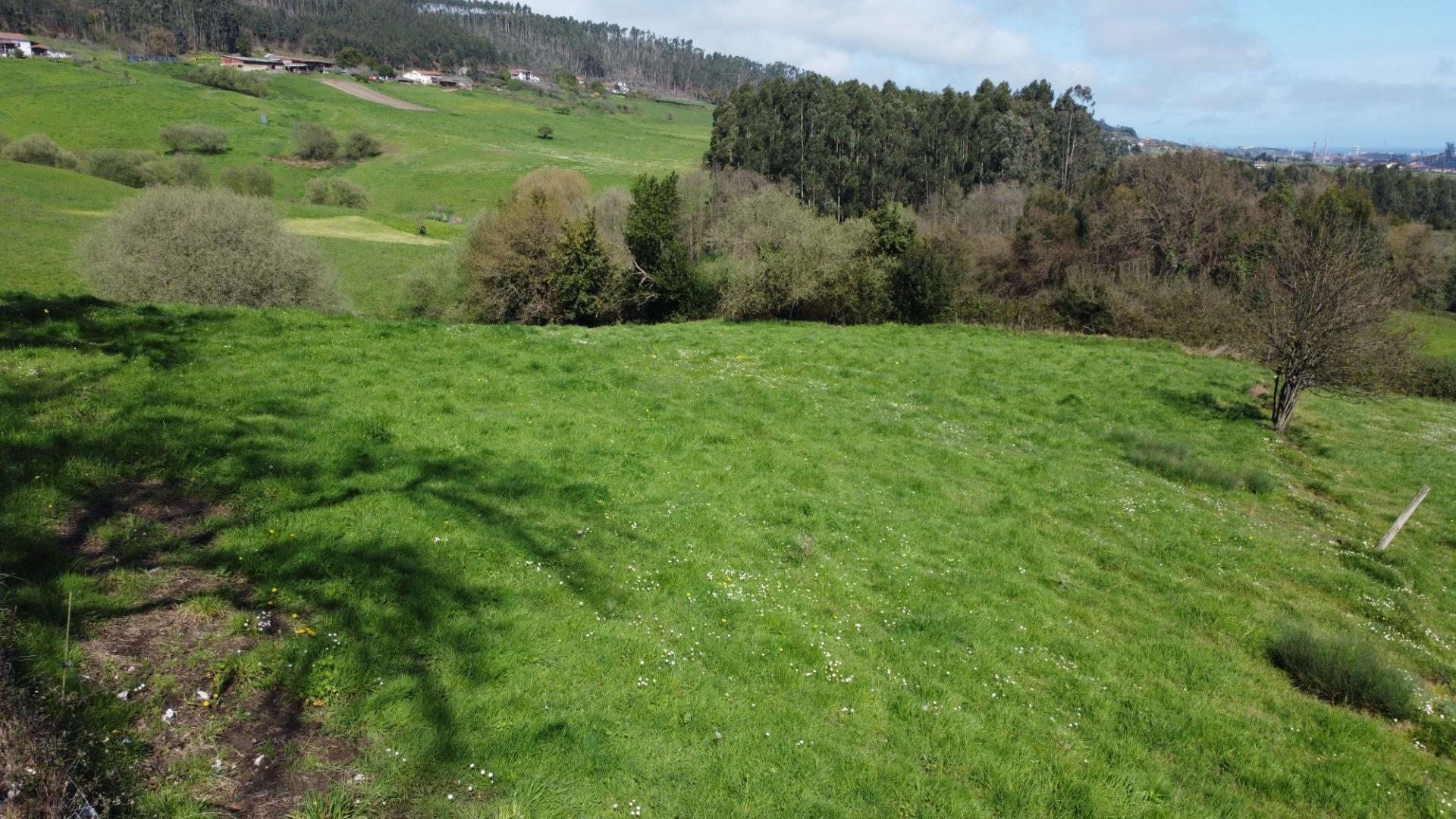 Fincas y solares-Venta-GijÃ³n-2207731-Foto-8