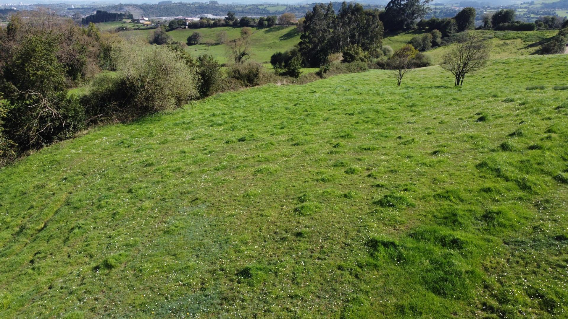 Fincas y solares-Venta-GijÃ³n-2207731-Foto-14