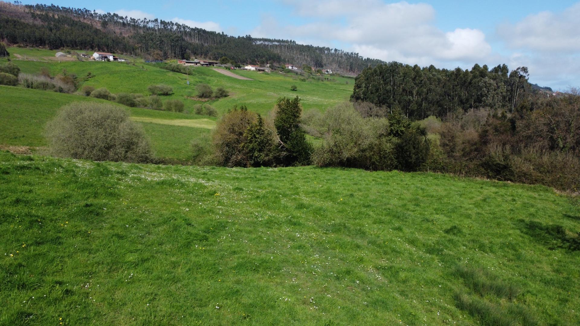 Fincas y solares-Venta-GijÃ³n-2207731-Foto-27