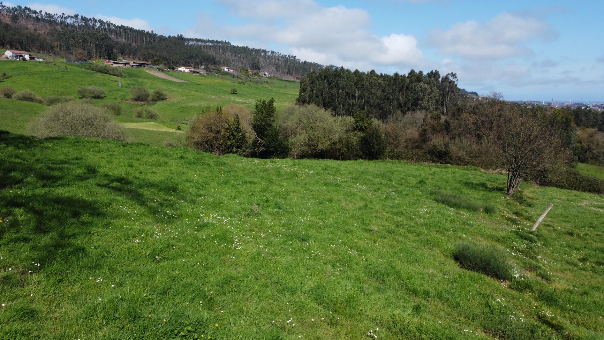 Fincas y solares-Venta-GijÃ³n-2207731-Foto-35