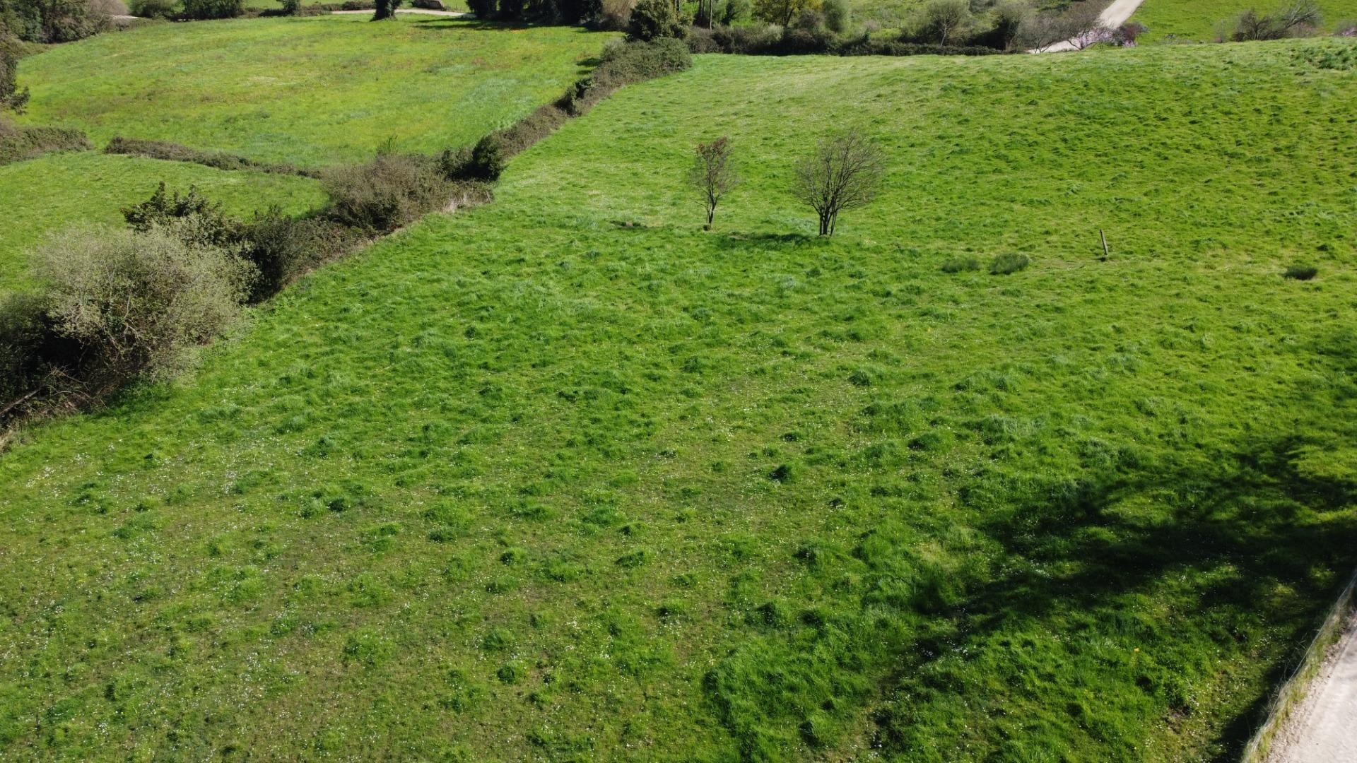 Fincas y solares-Venta-GijÃ³n-2207731-Foto-41