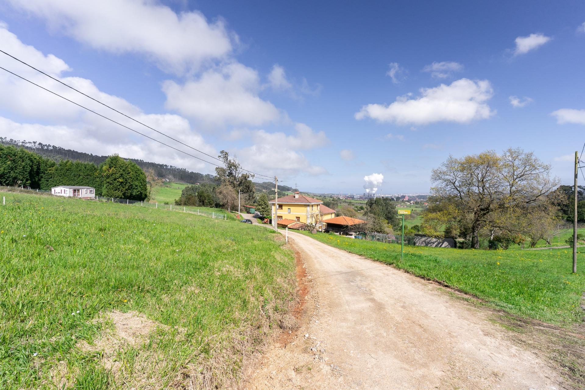 Fincas y solares-Venta-GijÃ³n-2207731-Foto-50