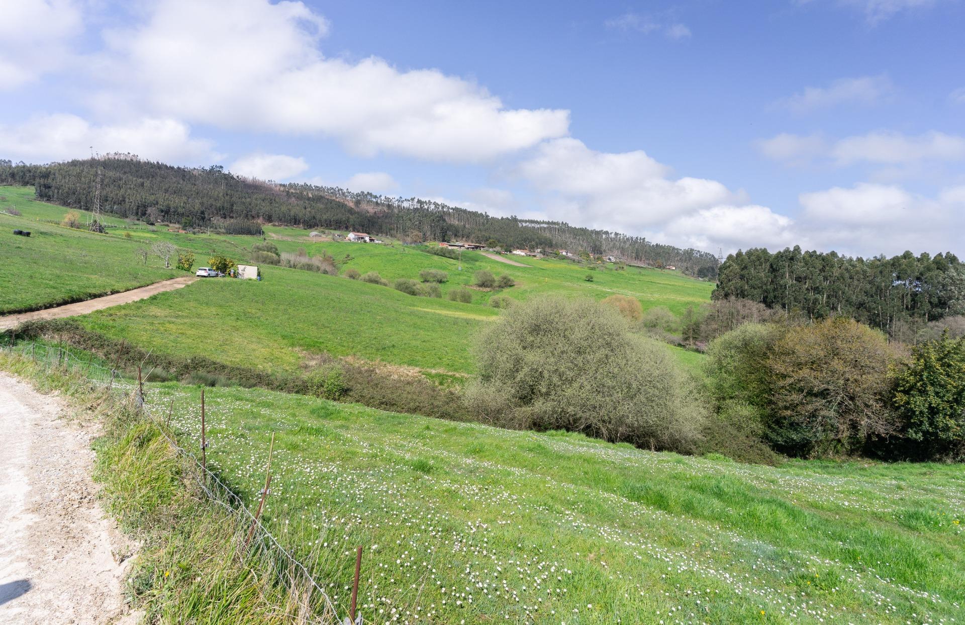 Fincas y solares-Venta-GijÃ³n-2207731-Foto-45