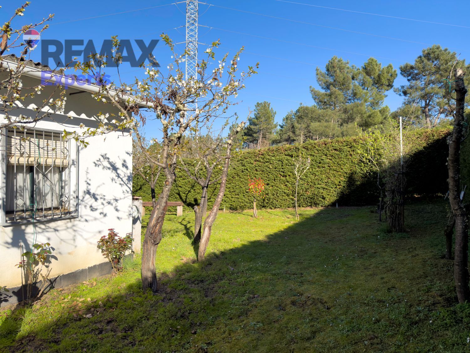 Fincas y solares-Venta-Ponferrada-2202593-Foto-5
