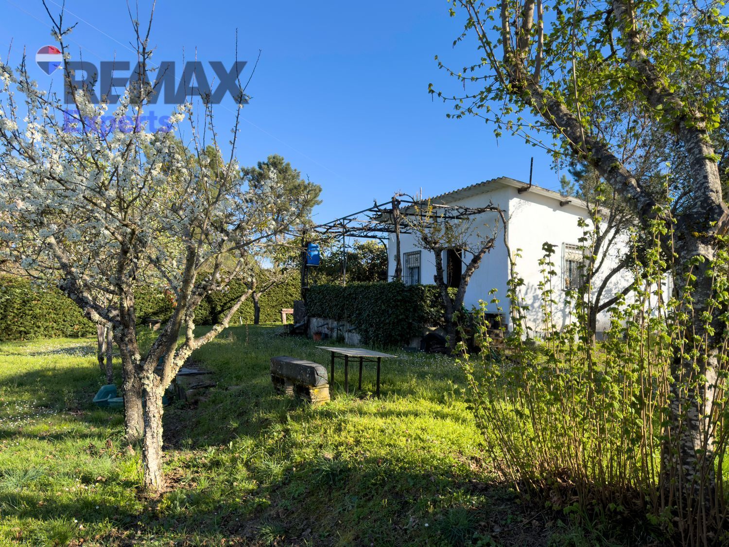 Fincas y solares-Venta-Ponferrada-2202593-Foto-7