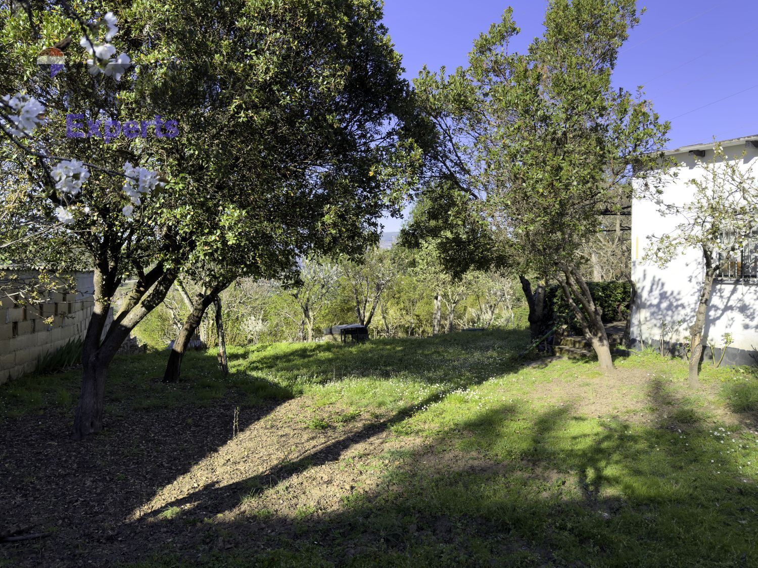 Fincas y solares-Venta-Ponferrada-2202593-Foto-8