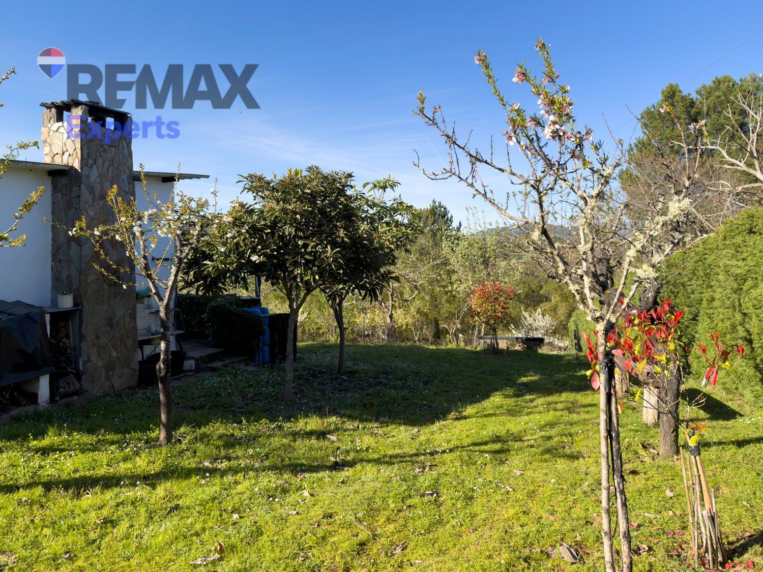 Fincas y solares-Venta-Ponferrada-2202593-Foto-14