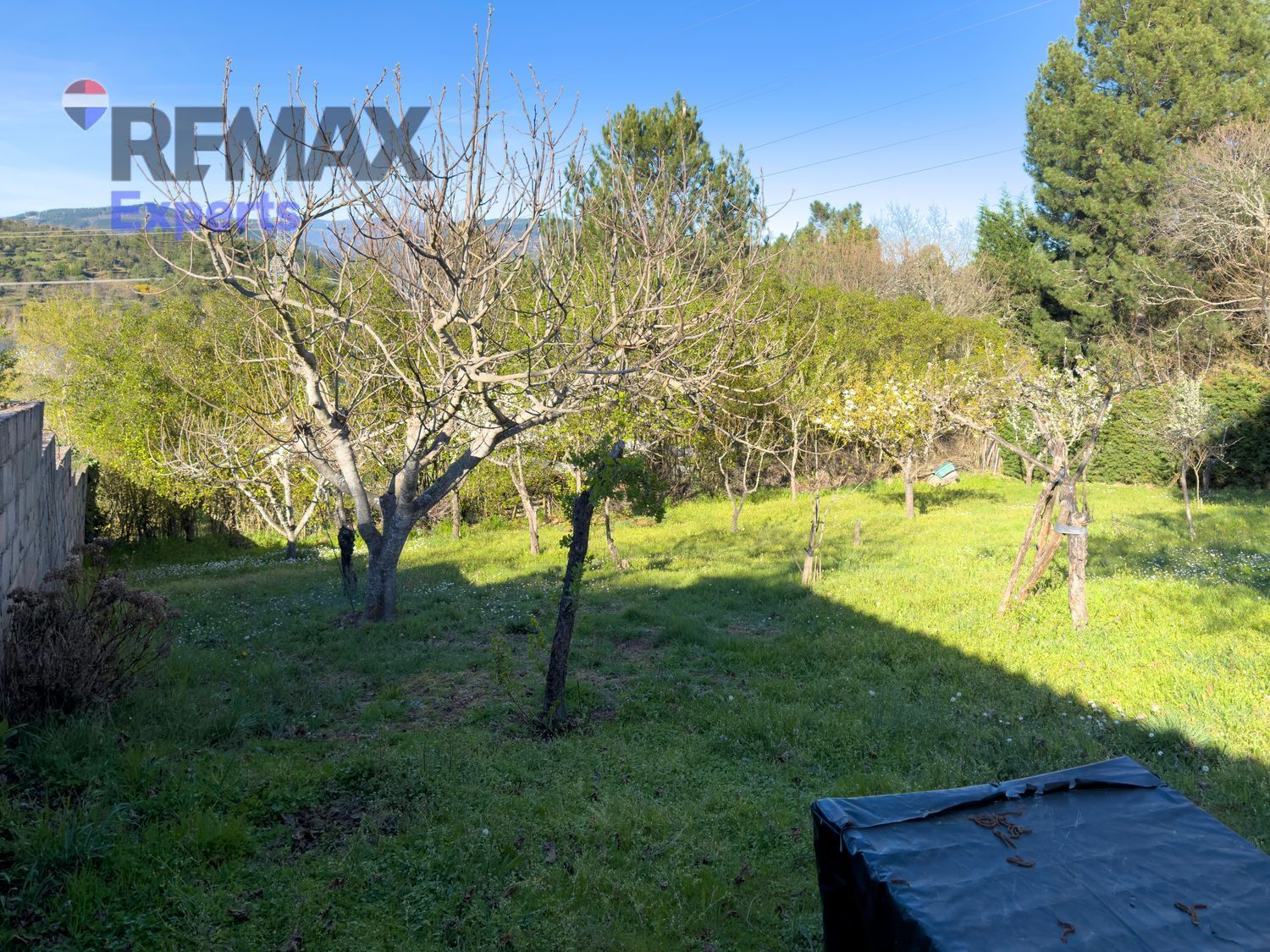 Fincas y solares-Venta-Ponferrada-2202593-Foto-15
