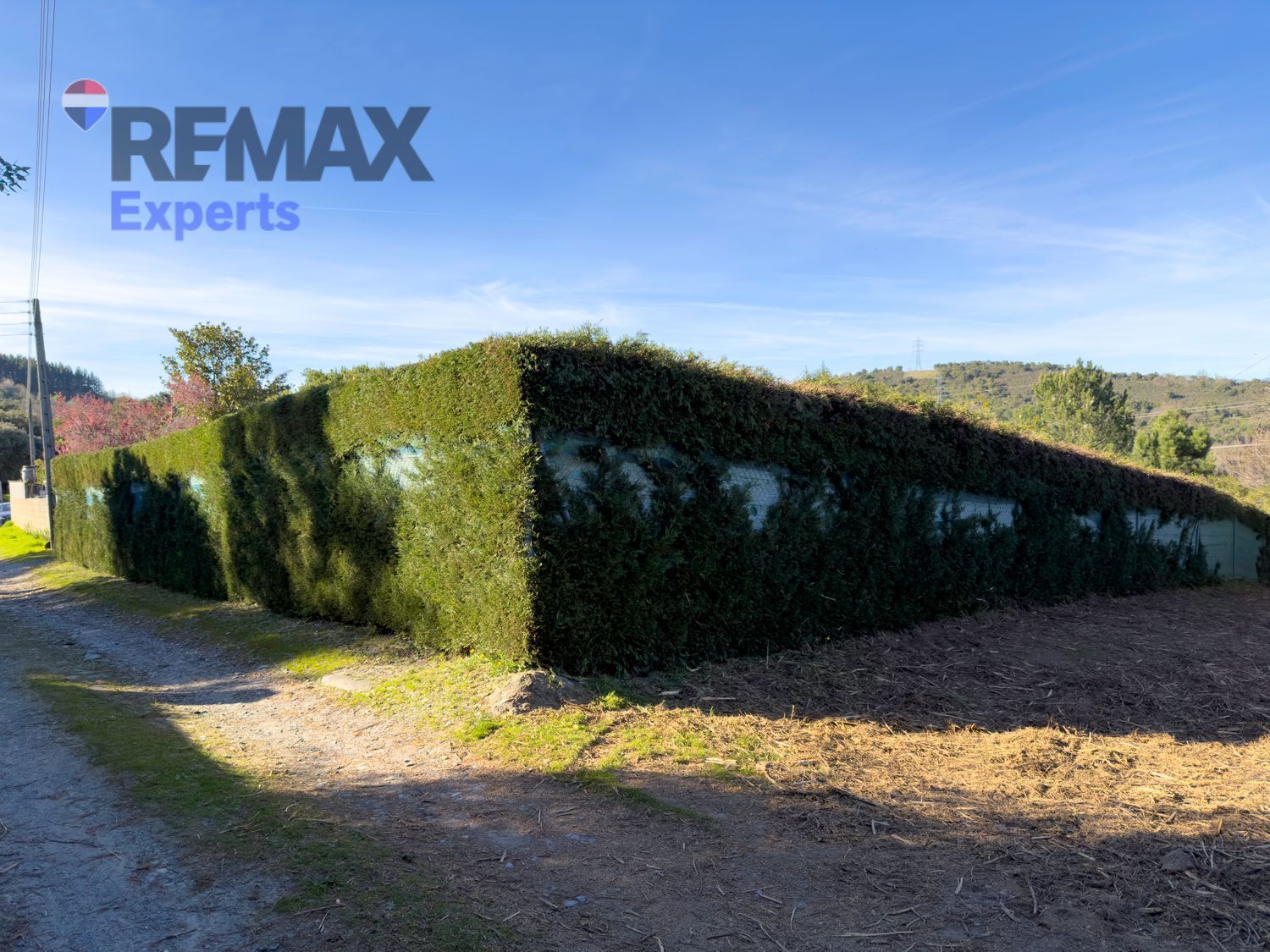 Fincas y solares-Venta-Ponferrada-2202593-Foto-17