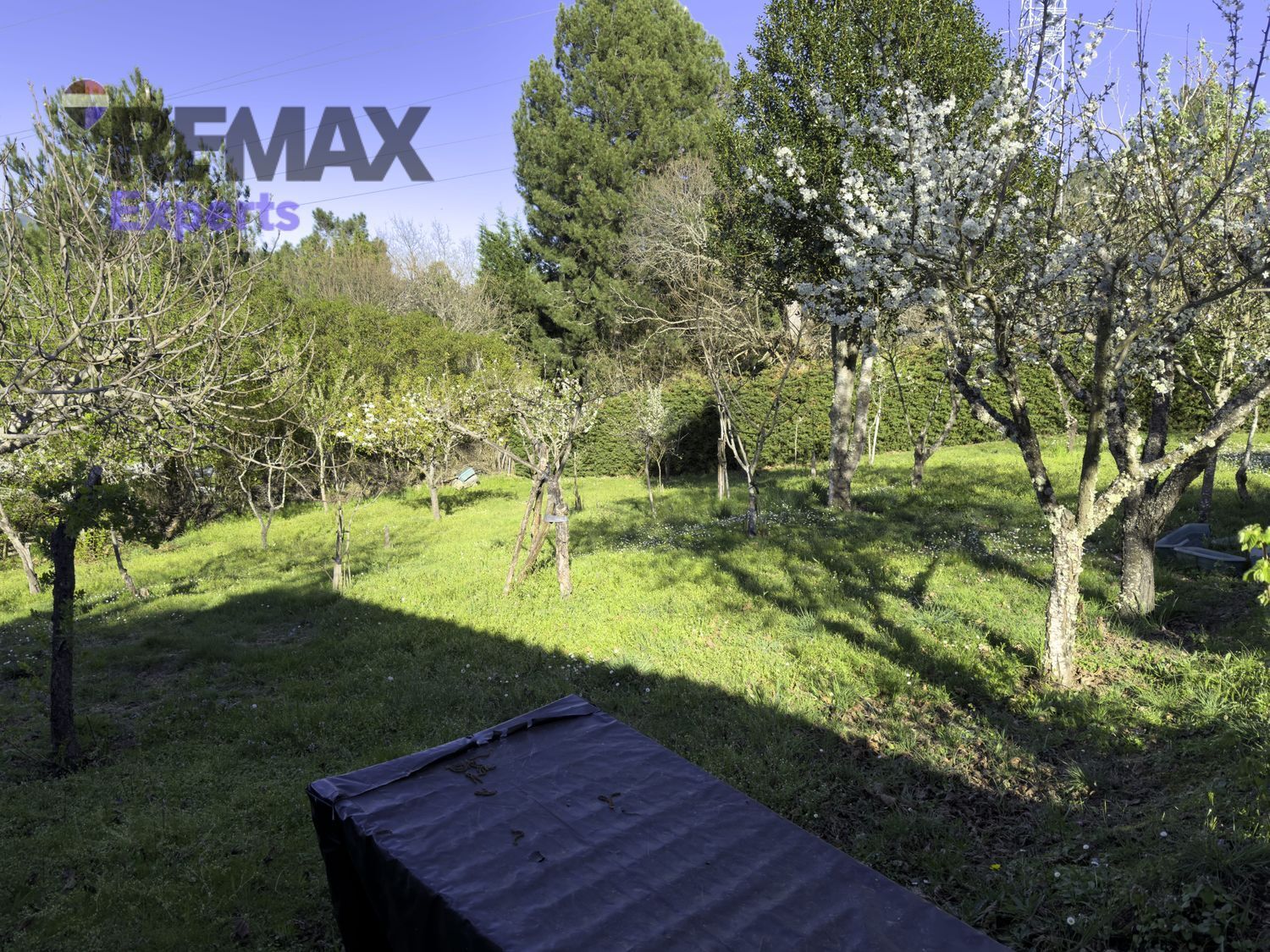 Fincas y solares-Venta-Ponferrada-2202593-Foto-16