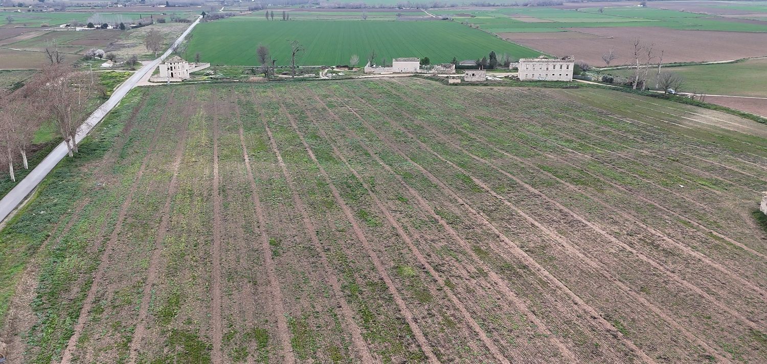 Fincas y solares-Venta-Colmenar de Oreja-1151036-Foto-5