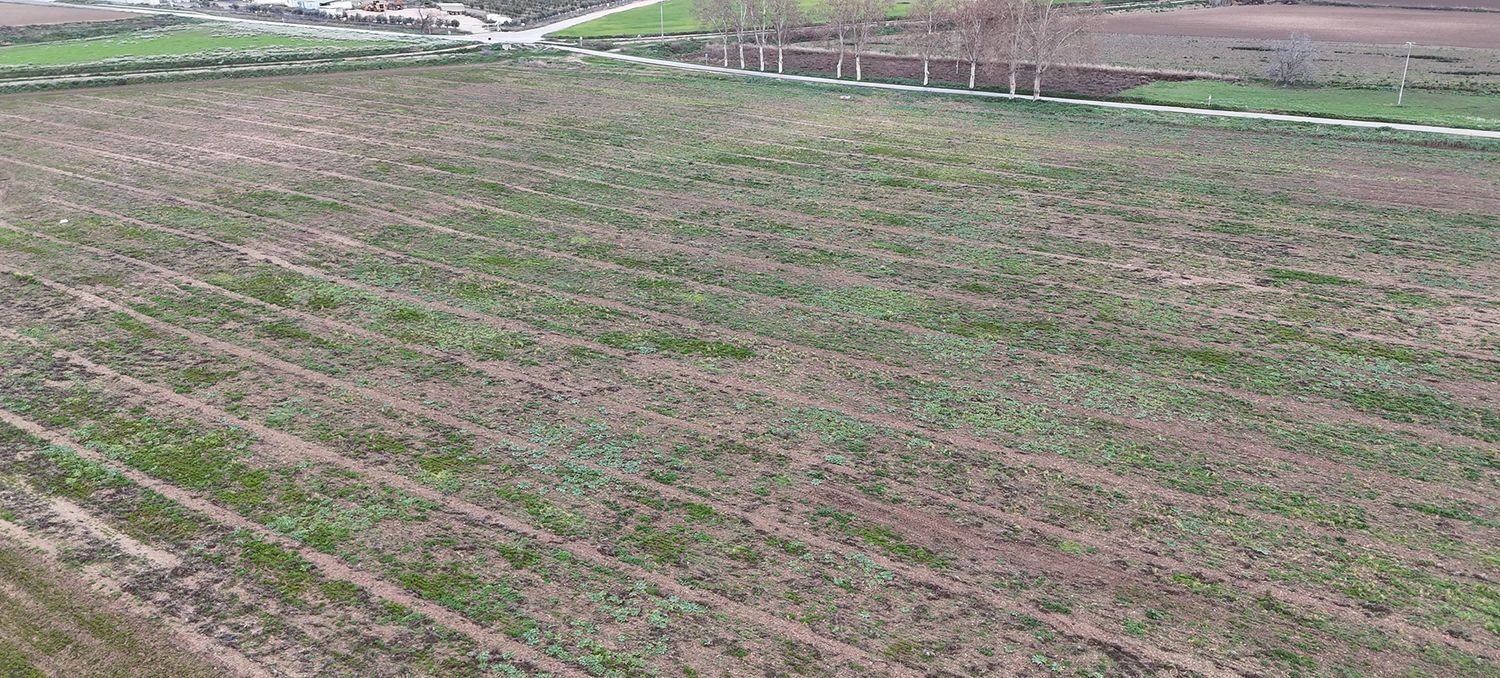 Fincas y solares-Venta-Colmenar de Oreja-1151036-Foto-8