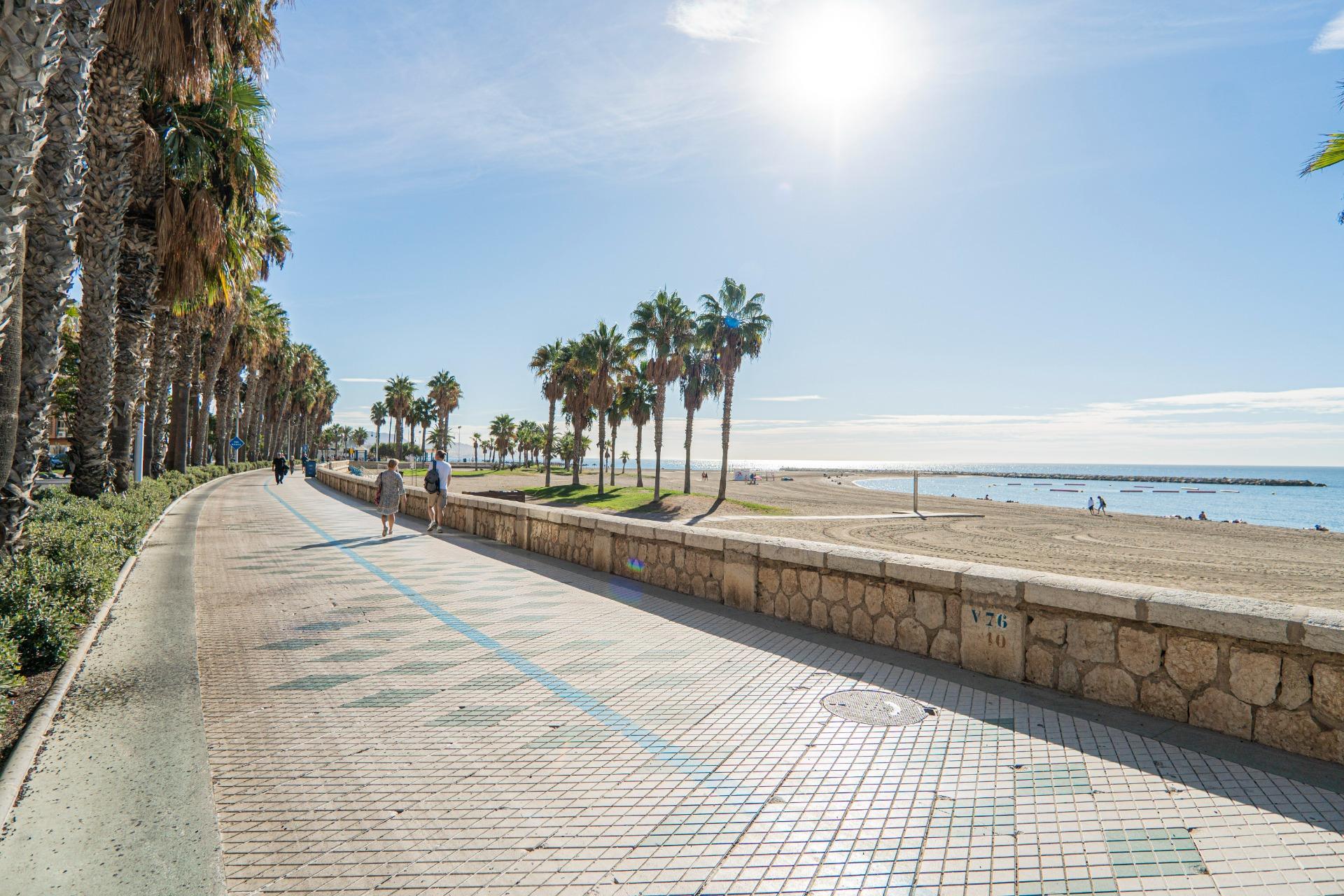 Pisos-Venta-VÃ©lez-MÃ¡laga-2412917-Foto-5
