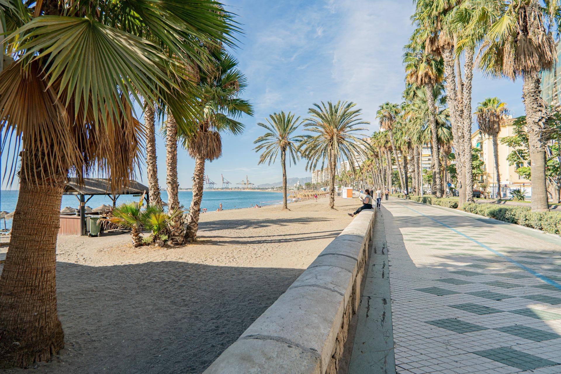 Pisos-Venta-VÃ©lez-MÃ¡laga-2412917-Foto-4