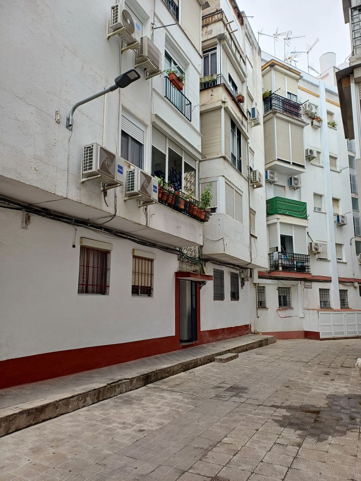 Pisos-Venta-San Juan de Aznalfarache-2411516-Foto-2