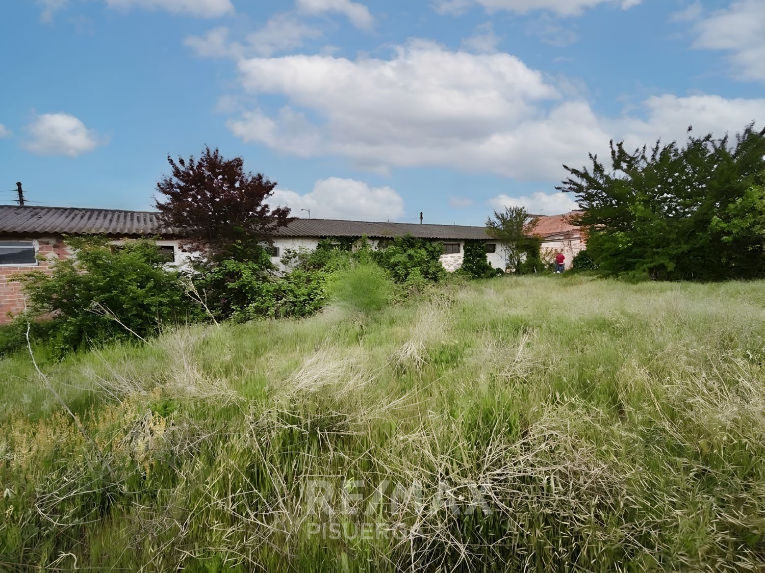Fincas y solares-Venta-Mojados-2412533-Foto-6
