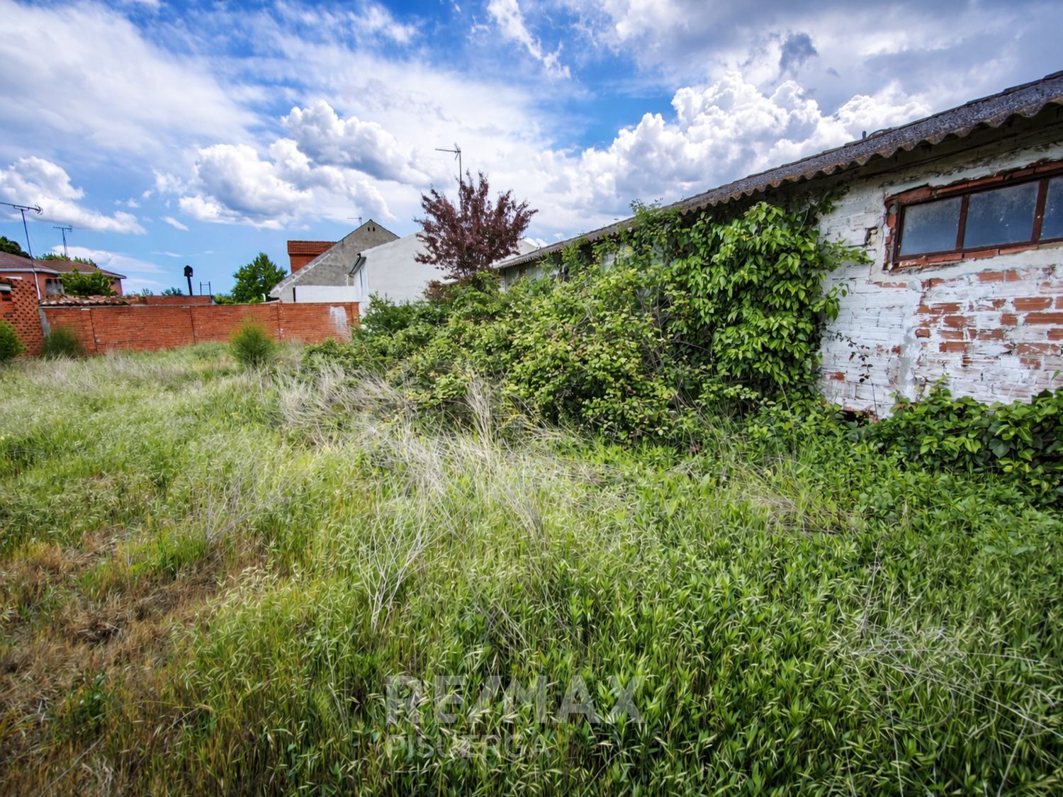 Fincas y solares-Venta-Mojados-2412533-Foto-14