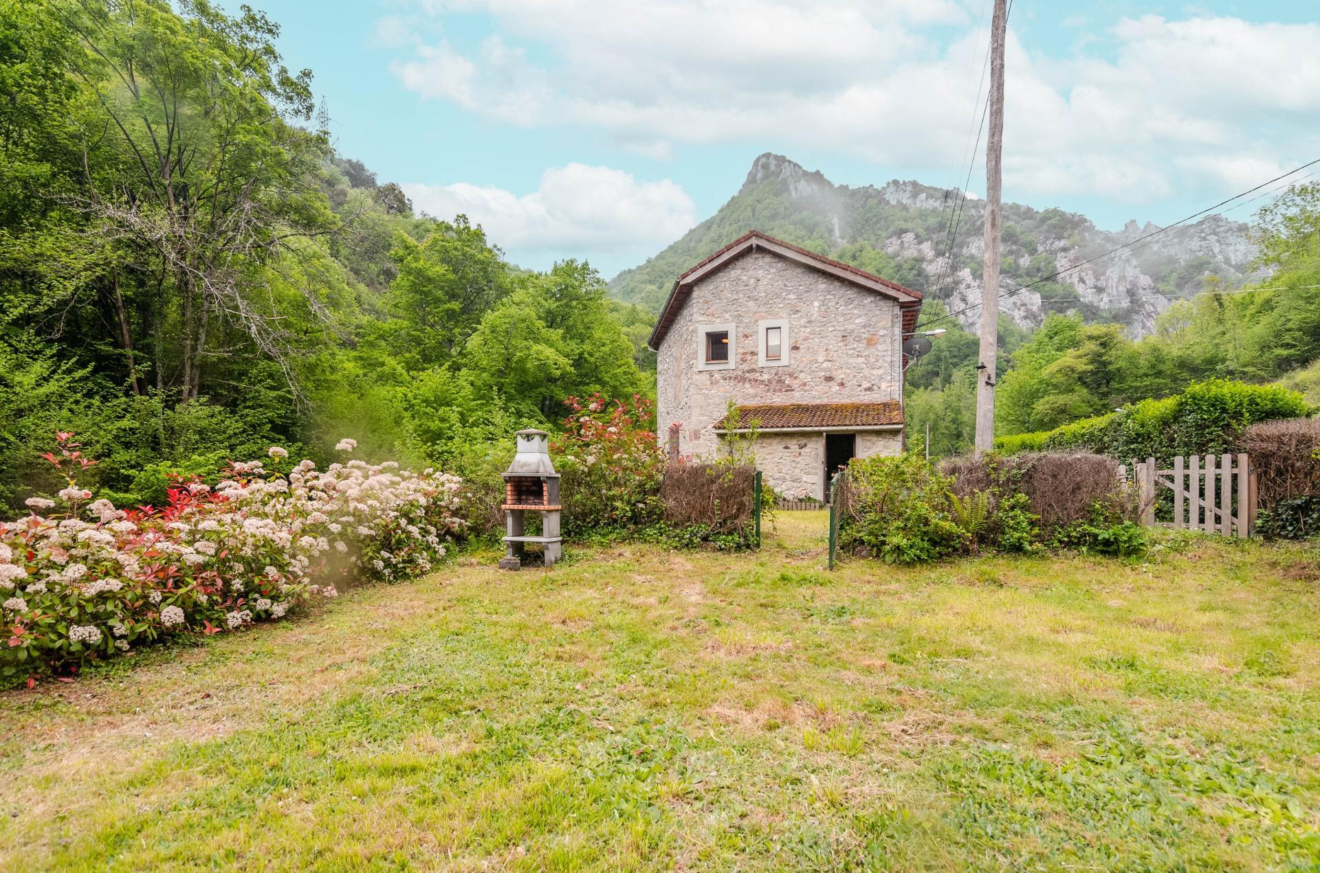 Casas o chalets-Venta-Somiedo-2412083