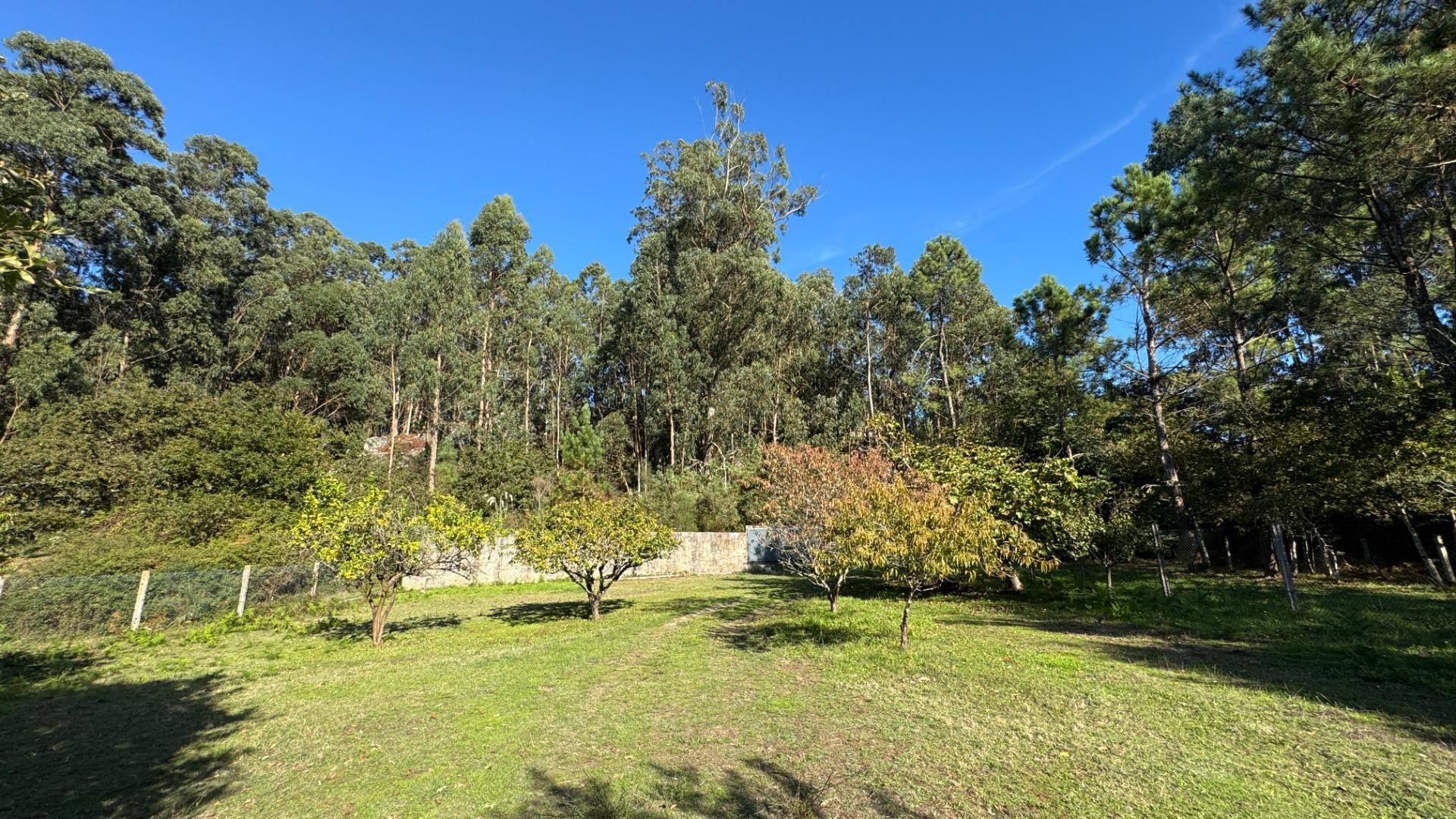Casas o chalets-Venta-Cangas-2413484-Foto-52