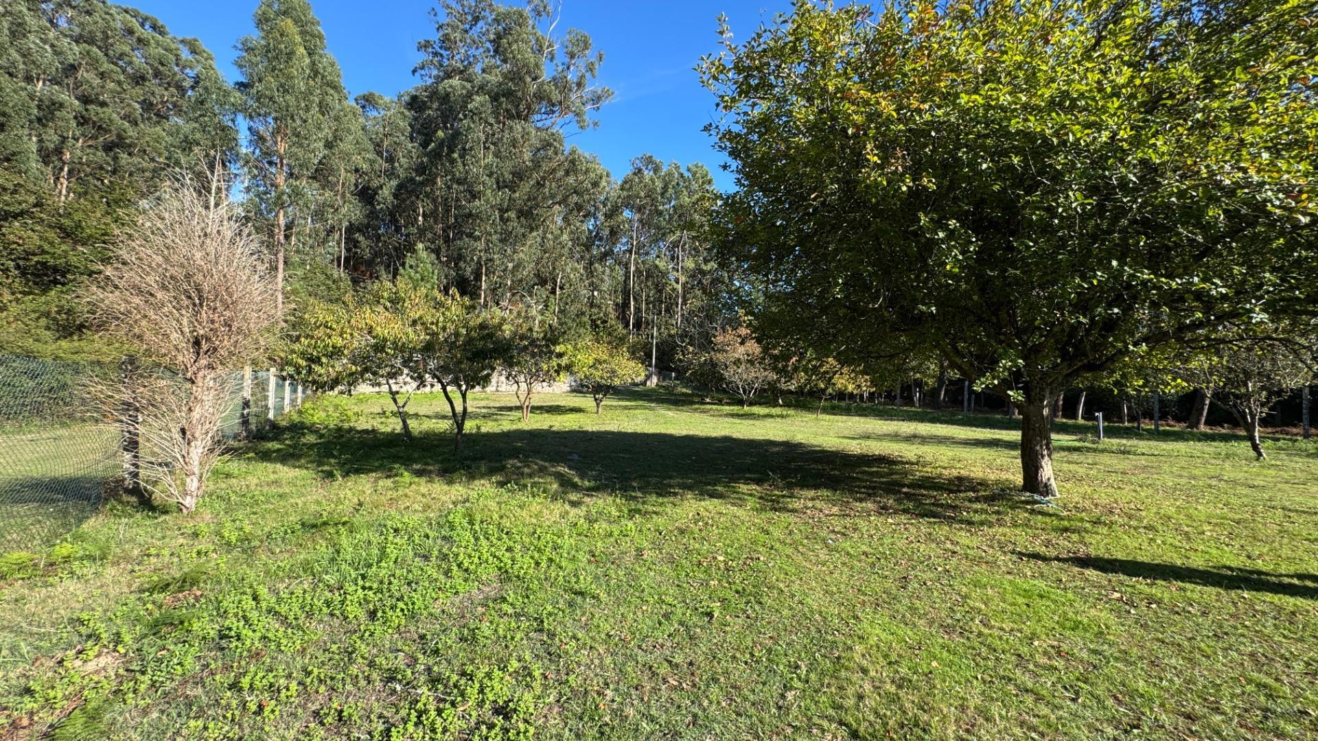 Casas o chalets-Venta-Cangas-2413484-Foto-51