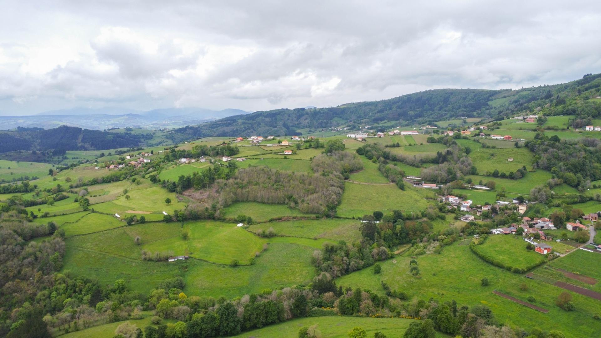 Casas o chalets-Venta-Tineo-2411999-Foto-52