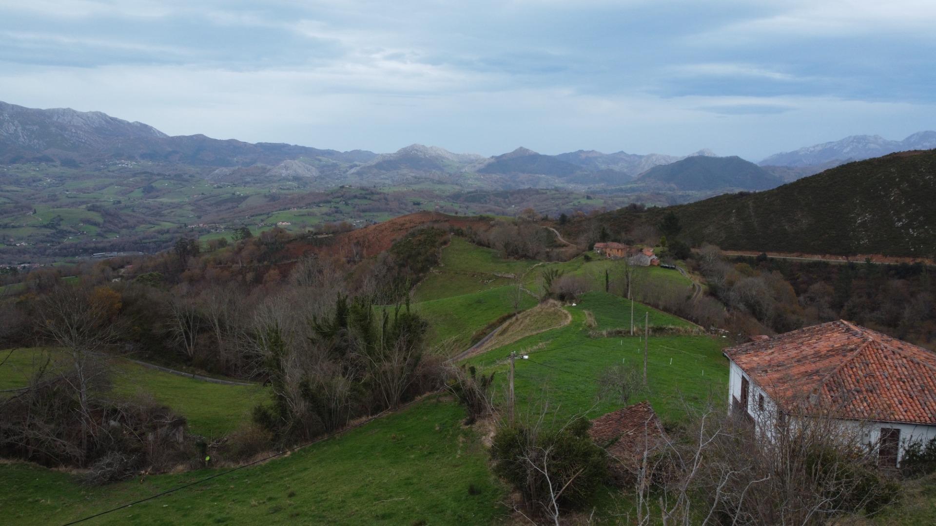 Fincas y solares-Venta-Amieva-2031303-Foto-3