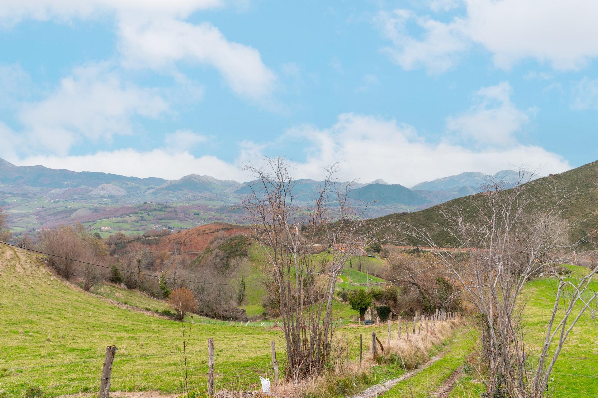 Fincas y solares-Venta-Amieva-2031303-Foto-2