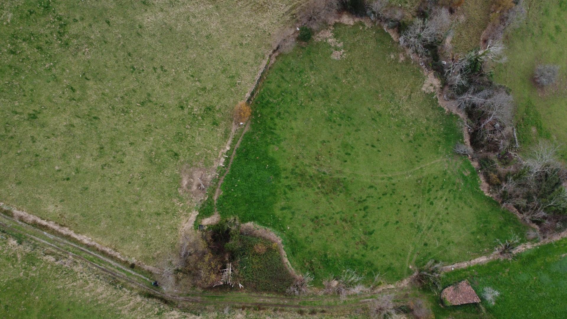 Fincas y solares-Venta-Amieva-2031303
