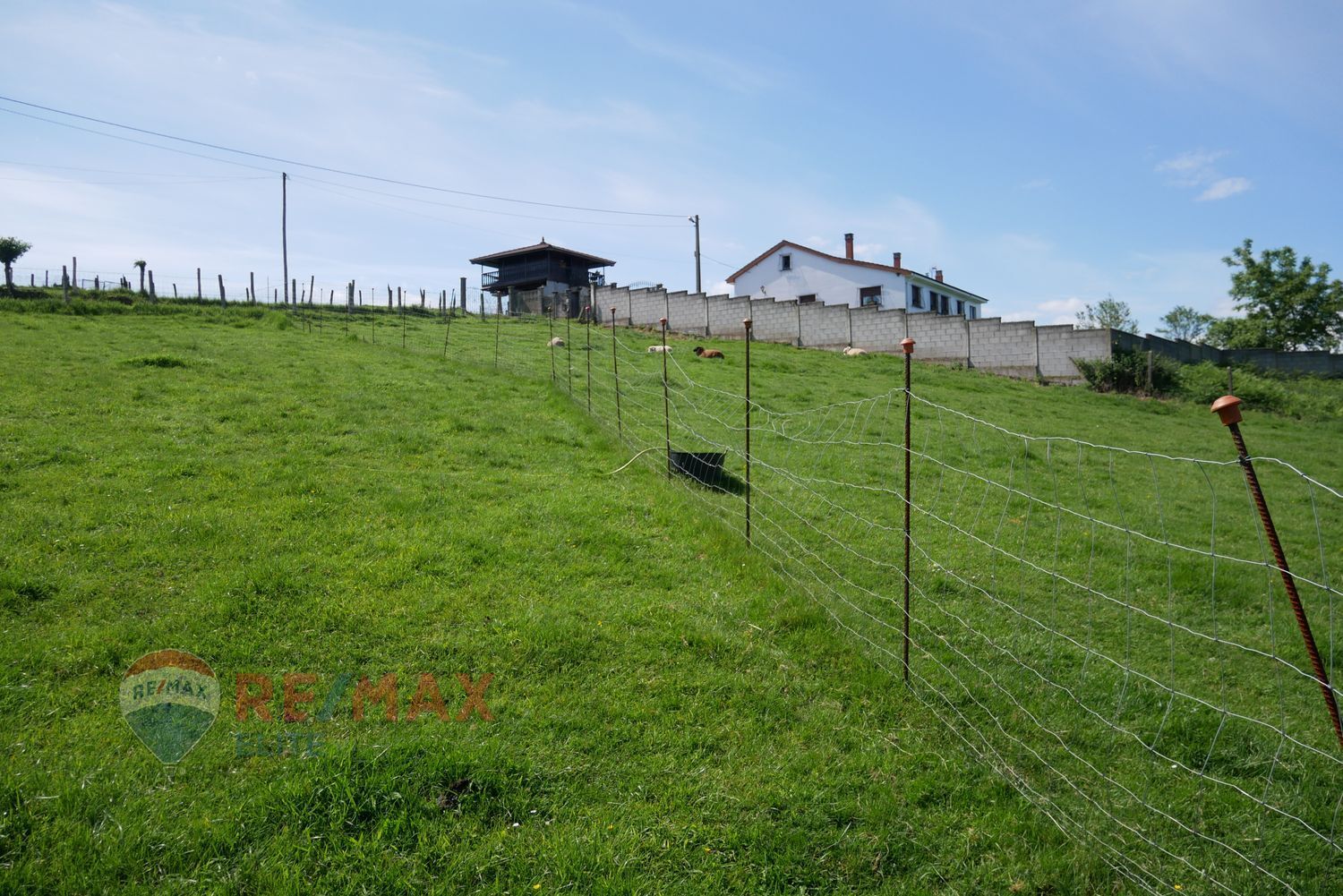 Fincas y solares-Venta-Siero-448633-Foto-9