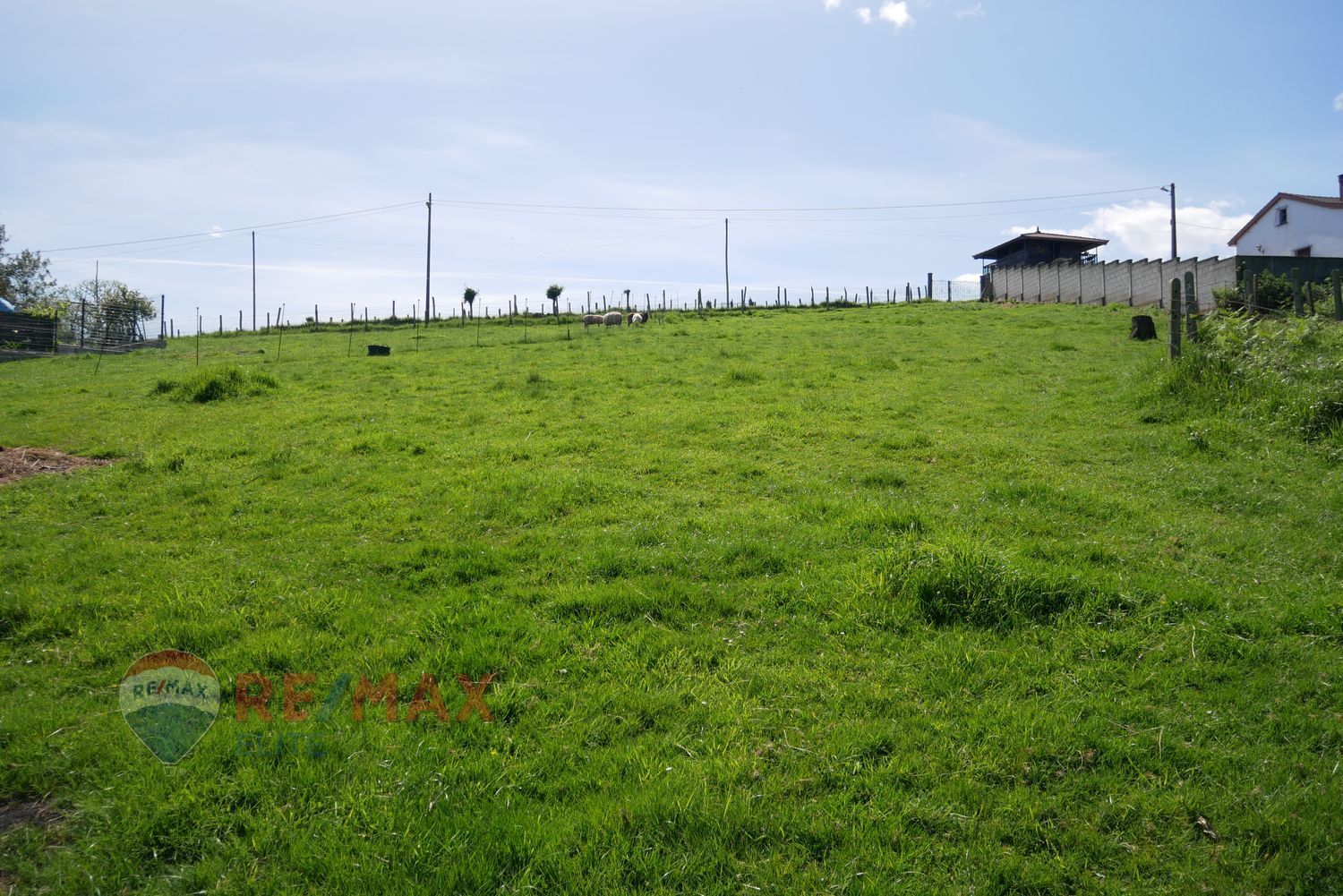 Fincas y solares-Venta-Siero-448633-Foto-21