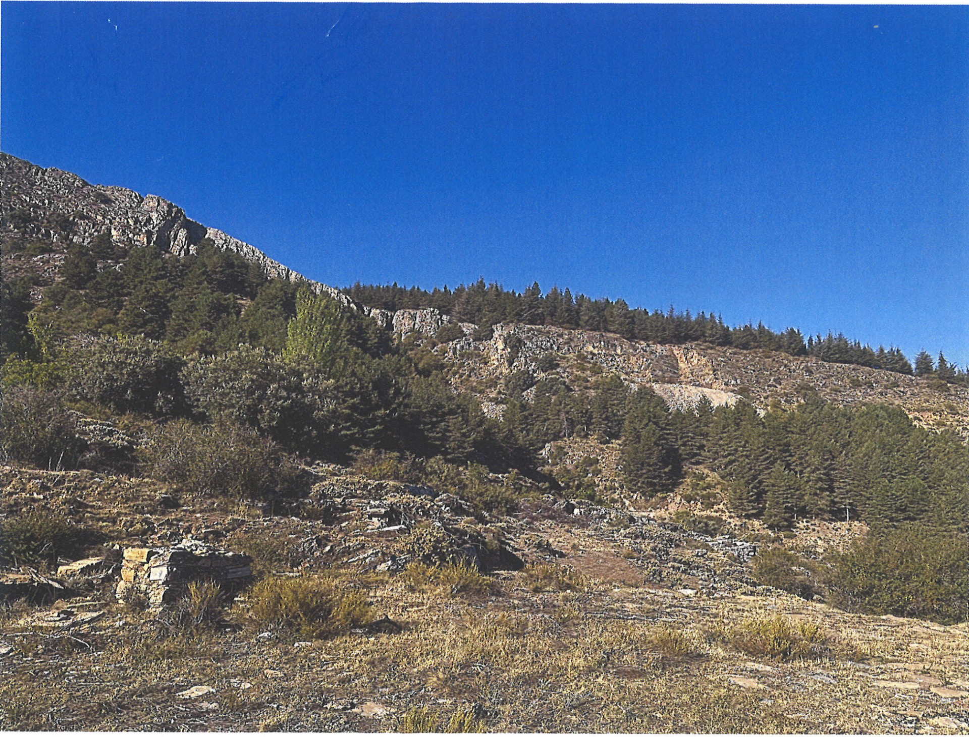 Fincas y solares-Venta-Güejar Sierra-2150804-Foto-4