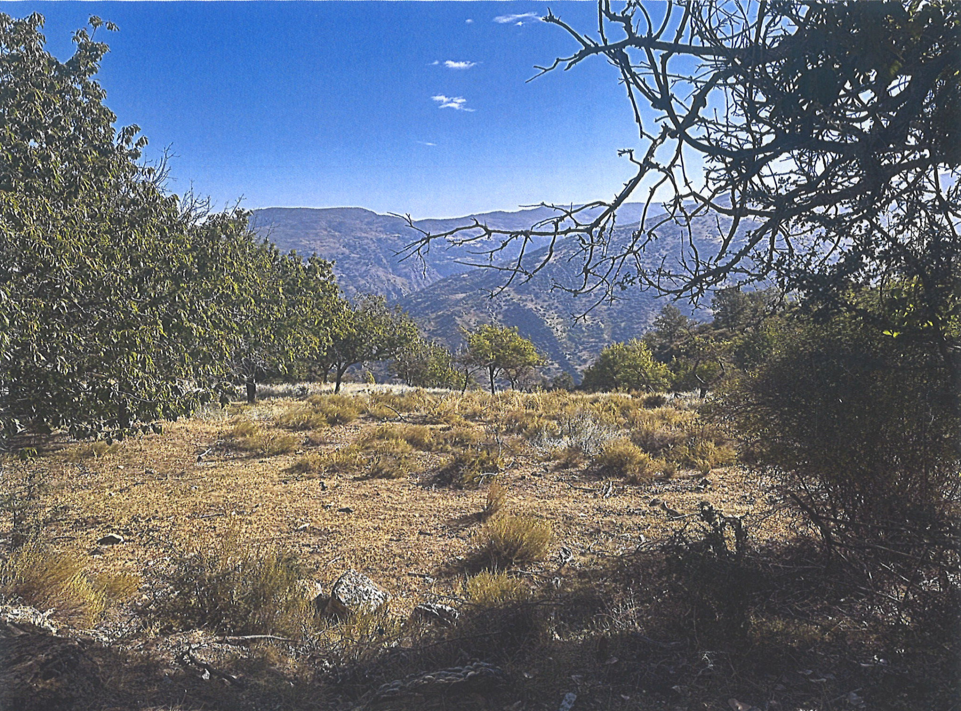 Fincas y solares-Venta-Güejar Sierra-2150804-Foto-2
