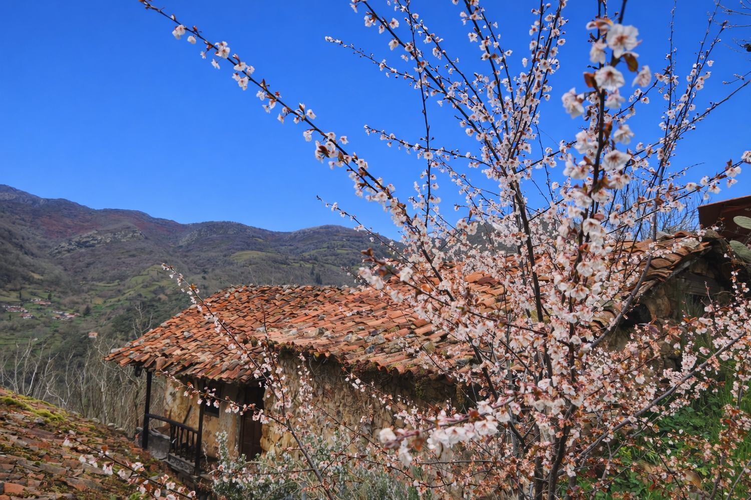 Casas o chalets-Venta-Proaza-2177136-Foto-2