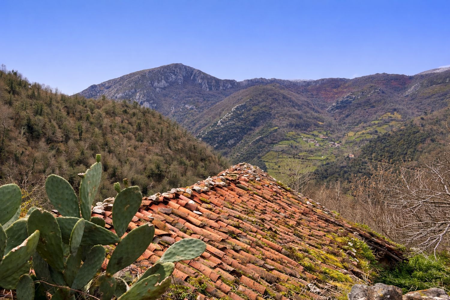 Casas o chalets-Venta-Proaza-2177136-Foto-3
