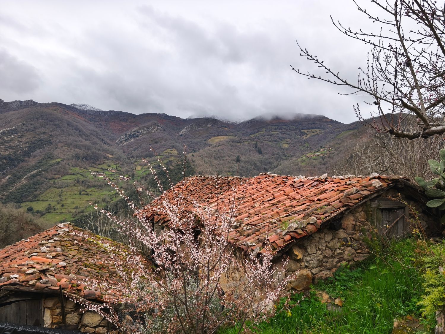 Casas o chalets-Venta-Proaza-2177136-Foto-5
