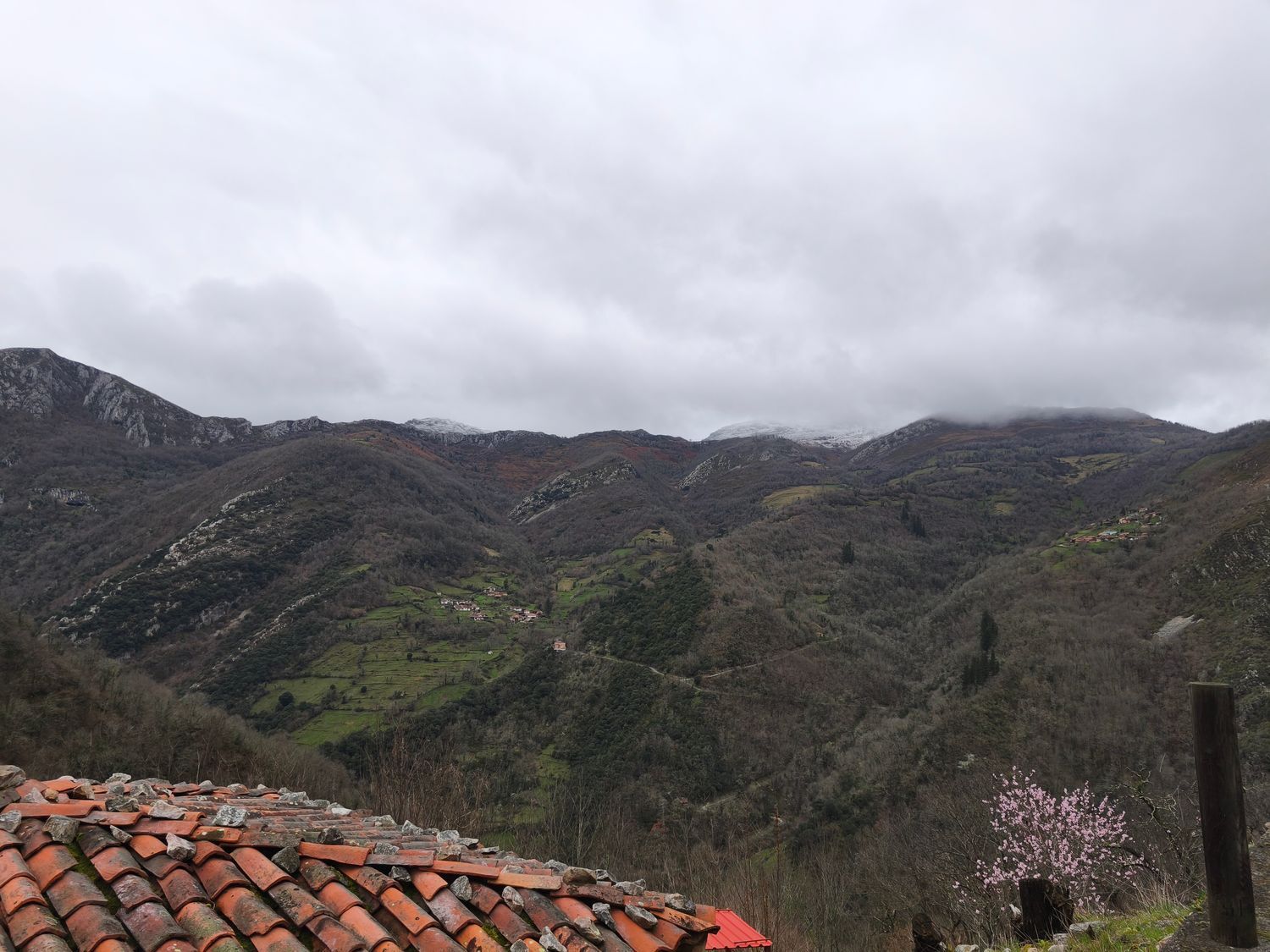 Casas o chalets-Venta-Proaza-2177136-Foto-8