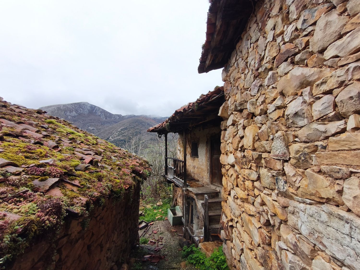 Casas o chalets-Venta-Proaza-2177136-Foto-10