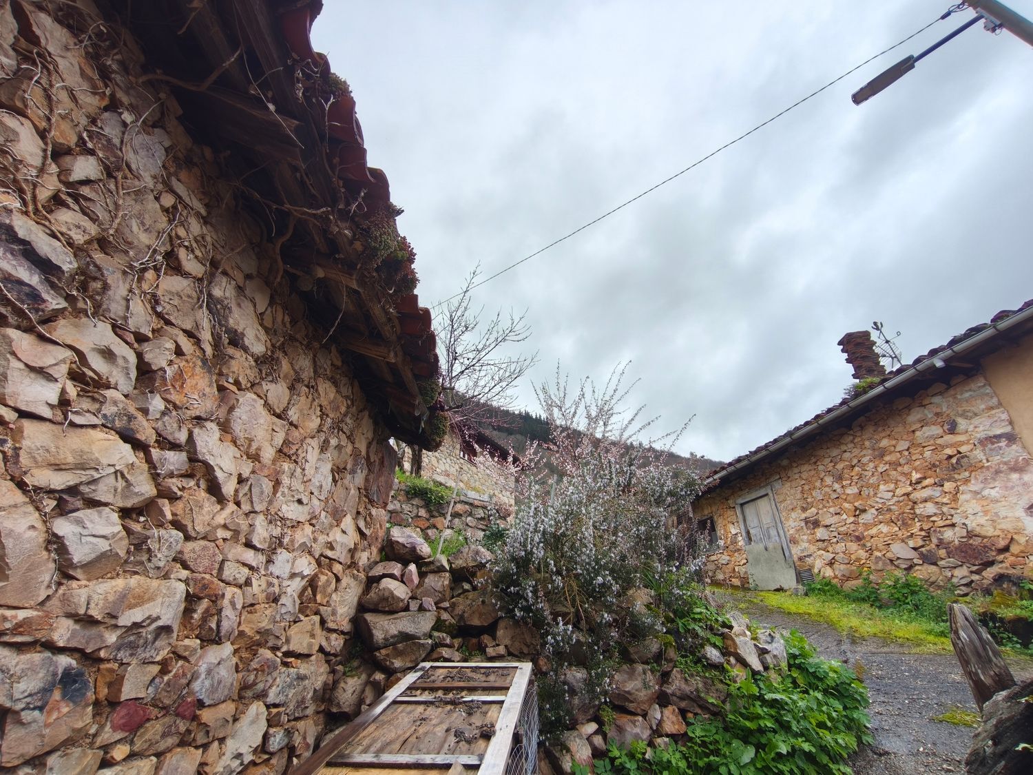 Casas o chalets-Venta-Proaza-2177136-Foto-11