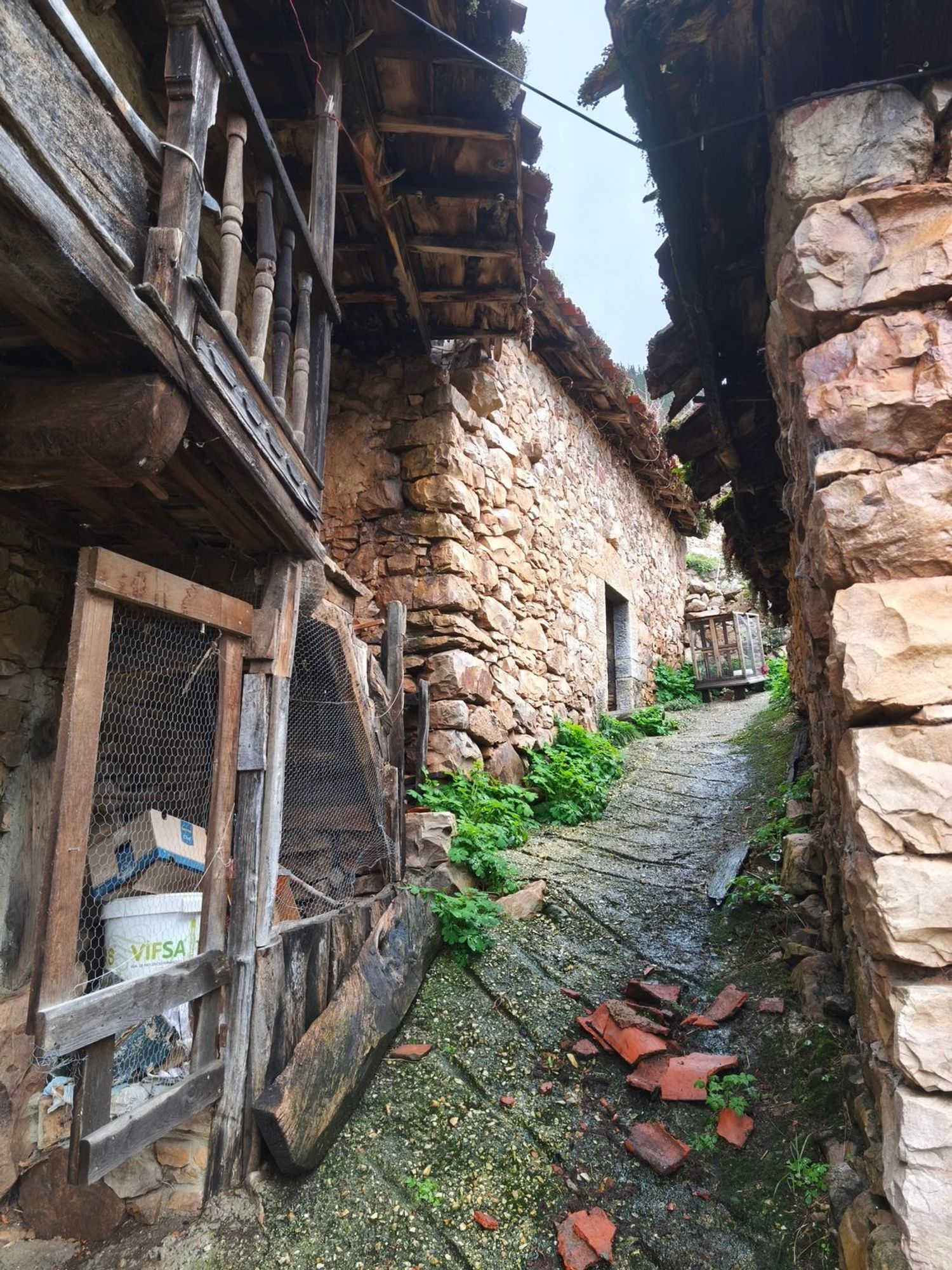 Casas o chalets-Venta-Proaza-2177136-Foto-14