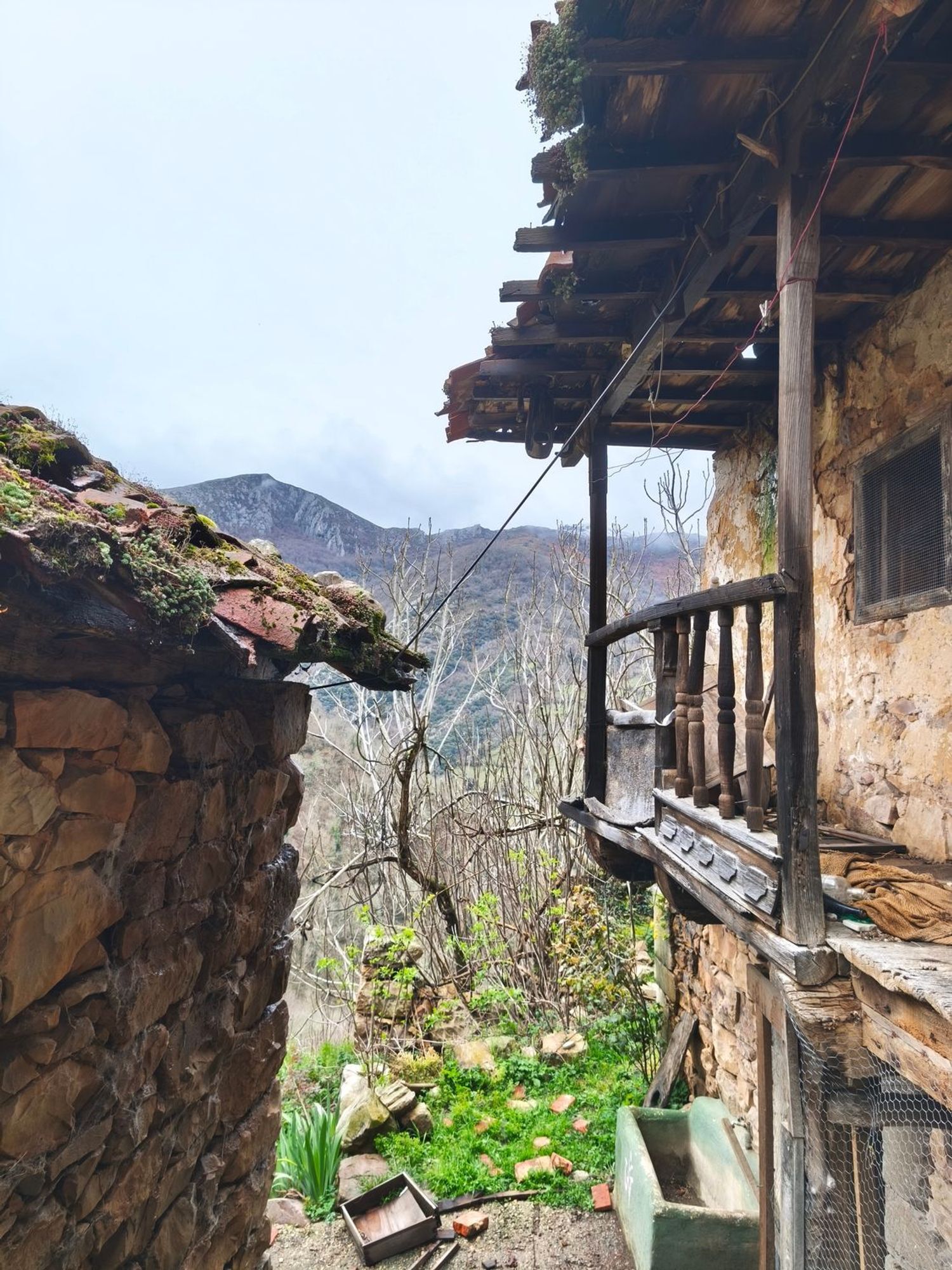 Casas o chalets-Venta-Proaza-2177136-Foto-15