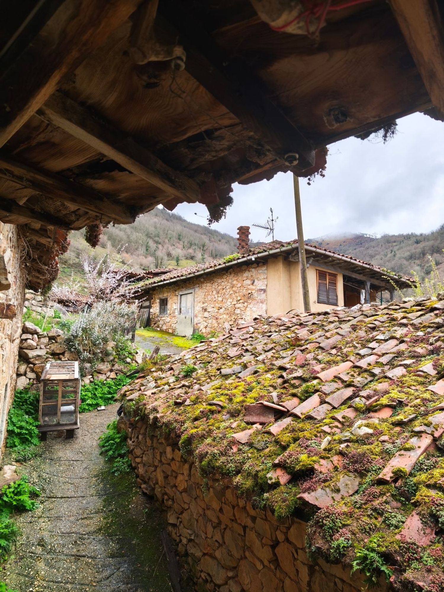 Casas o chalets-Venta-Proaza-2177136-Foto-16