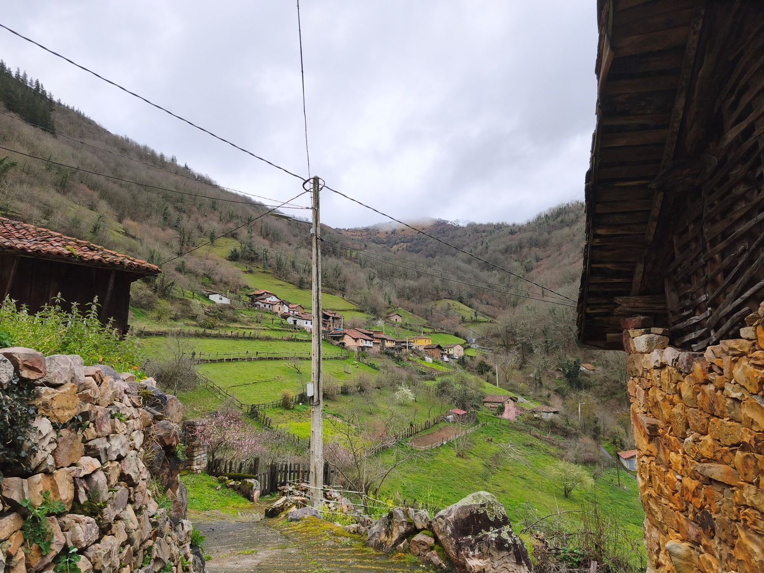 Casas o chalets-Venta-Proaza-2177136-Foto-18