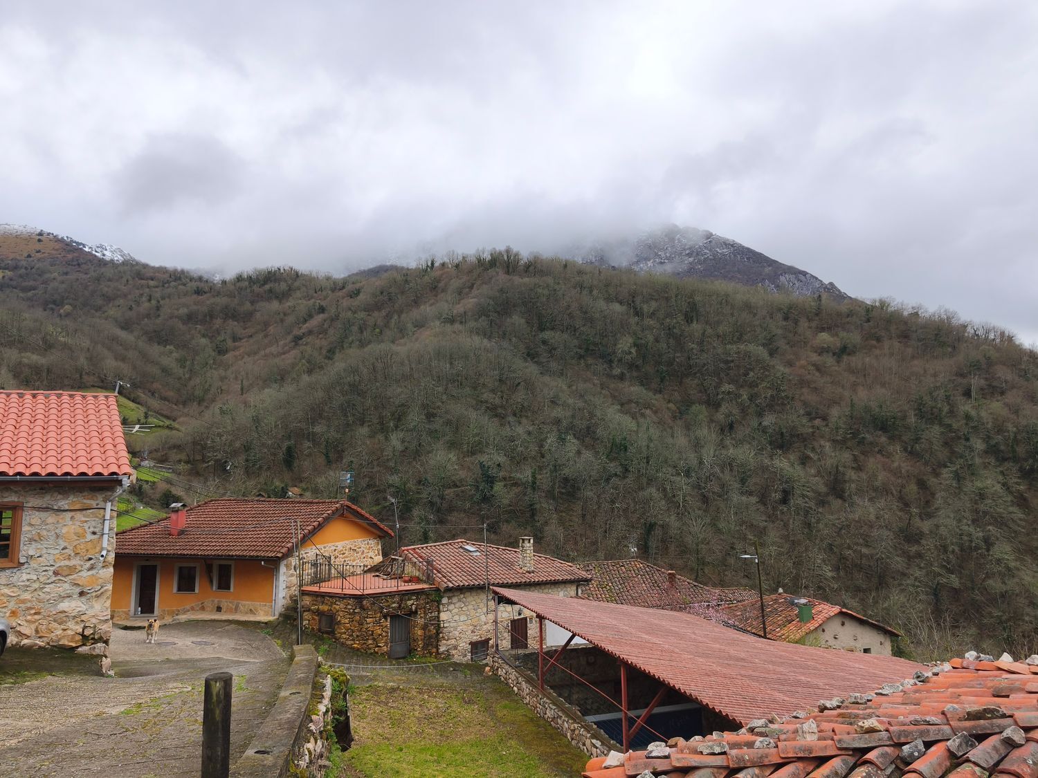 Casas o chalets-Venta-Proaza-2177136-Foto-20