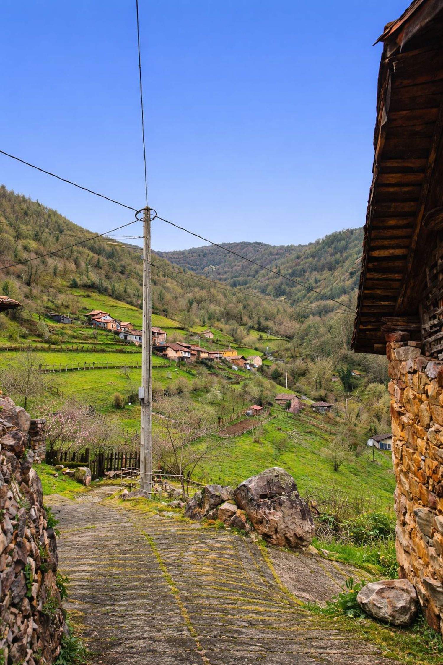 Casas o chalets-Venta-Proaza-2177136-Foto-19