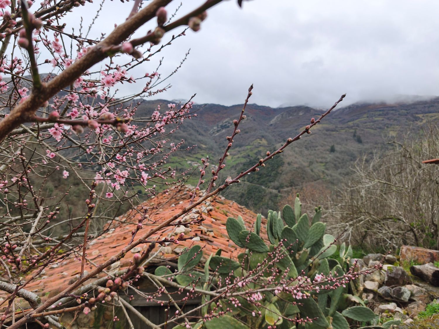 Casas o chalets-Venta-Proaza-2177136-Foto-24