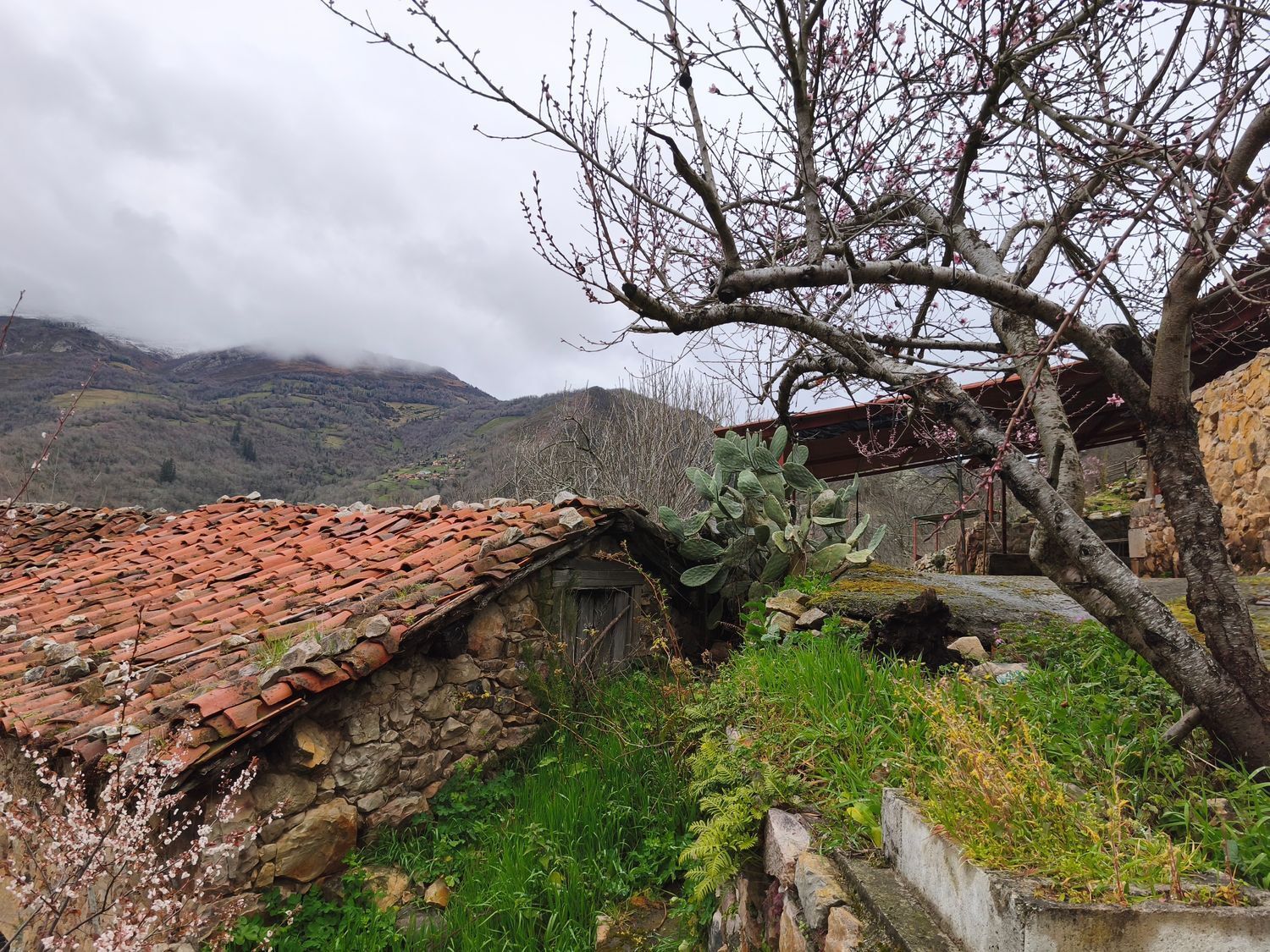 Casas o chalets-Venta-Proaza-2177136-Foto-23