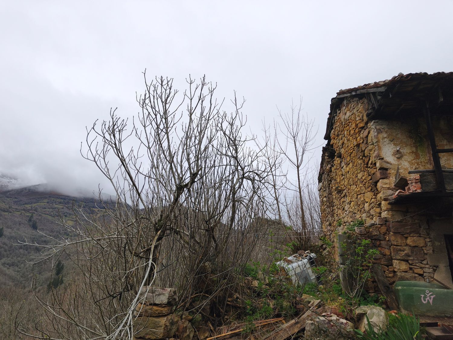 Casas o chalets-Venta-Proaza-2177136-Foto-27